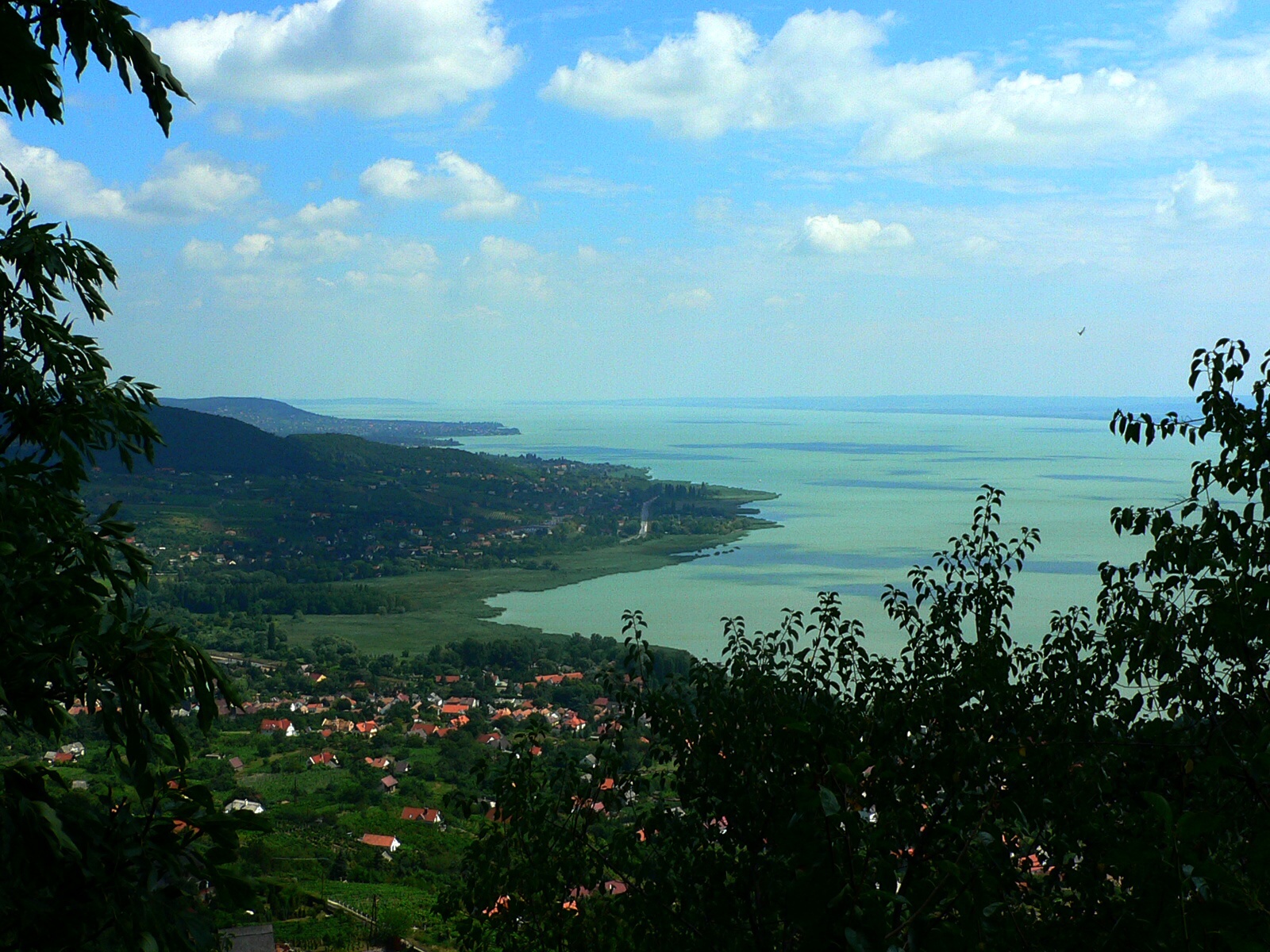 Badascony - výhled na Balaton2.jpg